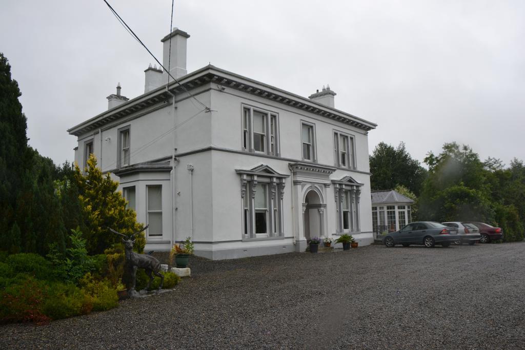 Ballinwillin House Mitchelstown Kültér fotó