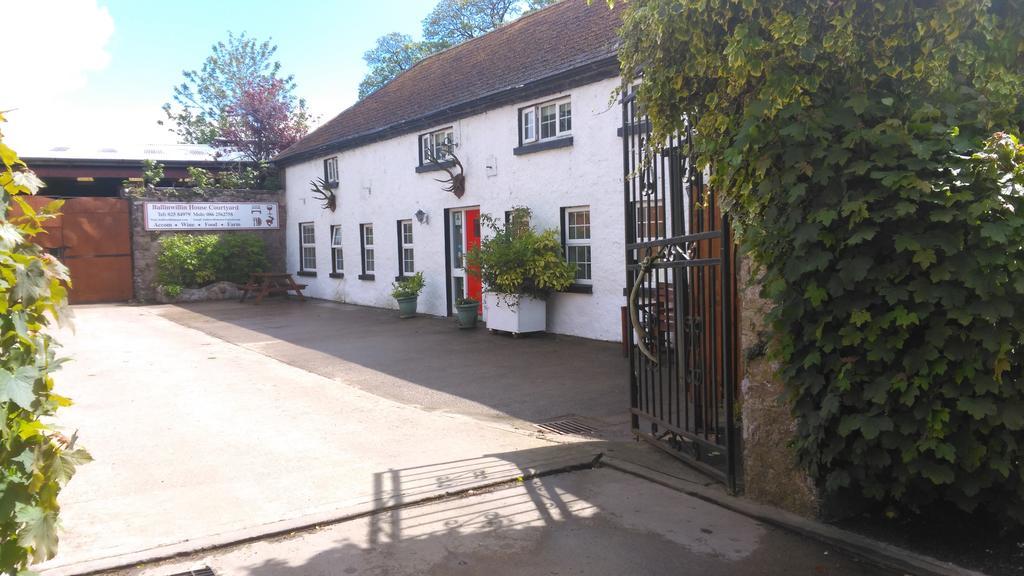 Ballinwillin House Mitchelstown Kültér fotó